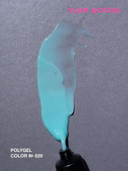 Pink House Полигель 29 color 15 гр.