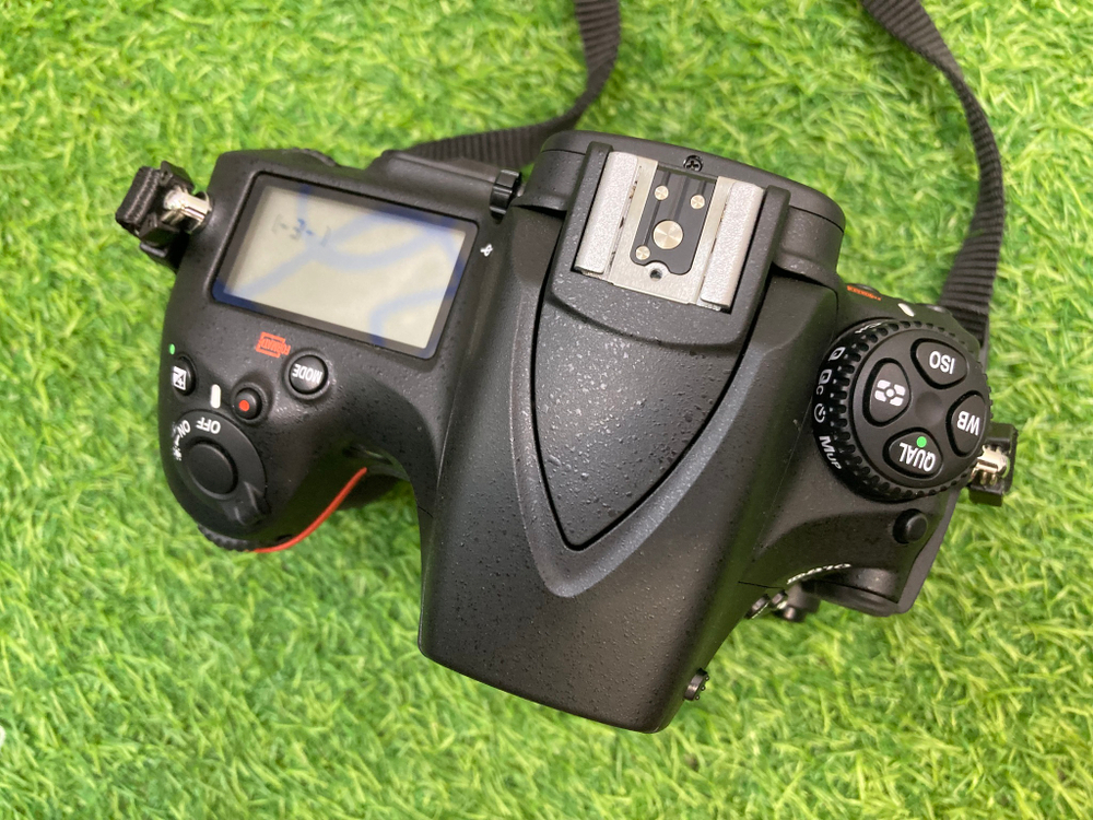Nikon D810 1.000 кадров