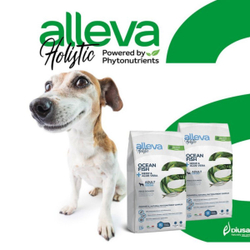Корм Аллева Холистик Holistic Ocean Fish + Hemp & Aloe vera Mini для взрослых собак мелких пород с океанической рыбой и алое вера, 2 кг