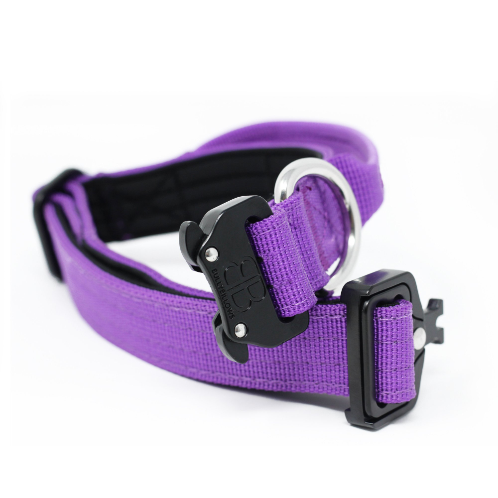 Ошейник Combat 2,5 см с ручкой BullyBillows