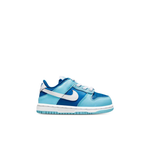 Детские кроссовки Nike Dunk Low Retro QS 'Argon' 2022 DV2634-400