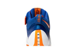 Кроссовки Nike Lebron 4 Birthday 4