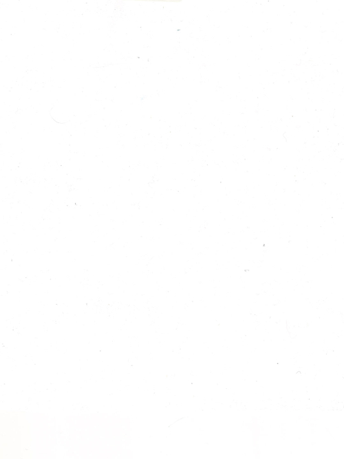 Масляная краска Белила цинковые нежелтеющие 40 мл