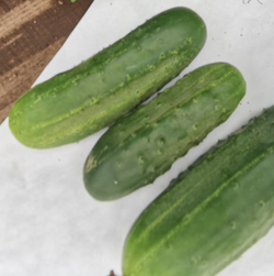 Огурцы - Бостонский Пикуль - Boston Pickle