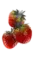 Crown Sapphire - Alpine strawberry