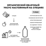 Яблочный уксус с имбирем и куркумой, нефильтрованный и не пастеризованный, 500 мл. Стекло