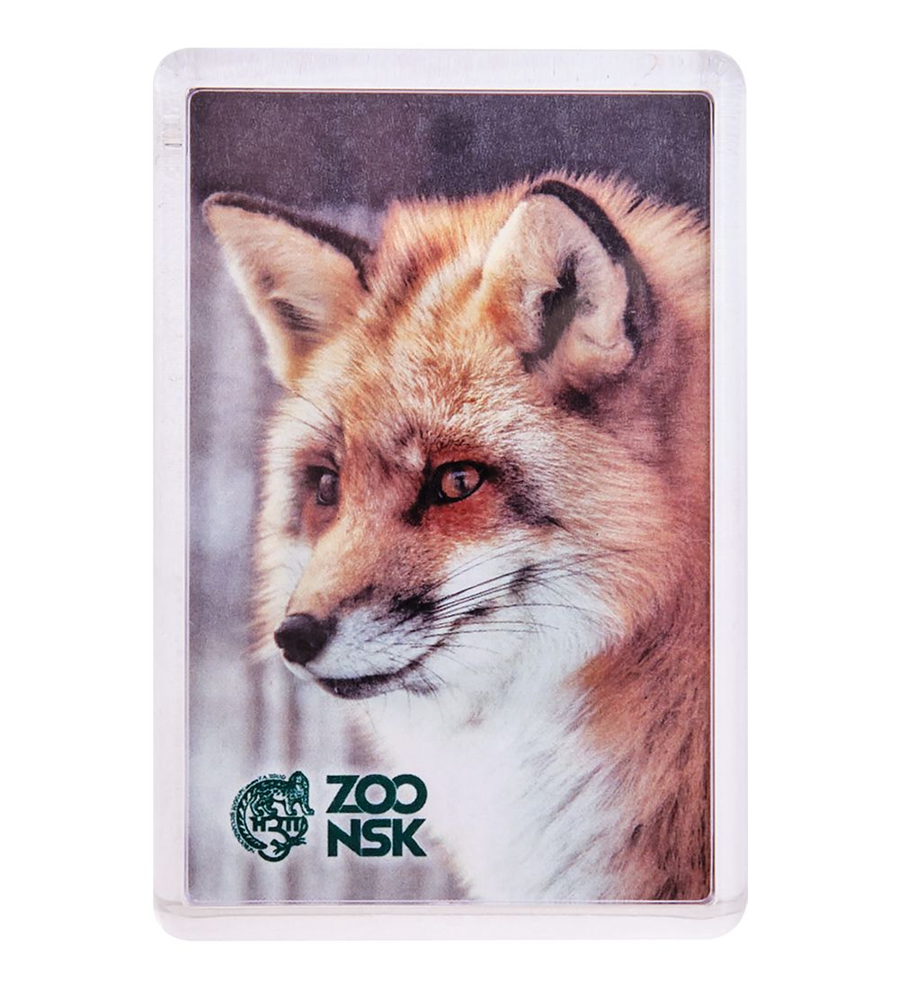 МТ- 001/22 Магнит «Новосибирский зоопарк»