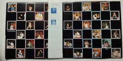 Винтажная виниловая пластинка LP Ringo Starr Ringos Rotogravure (Japan 1976) (Obi)