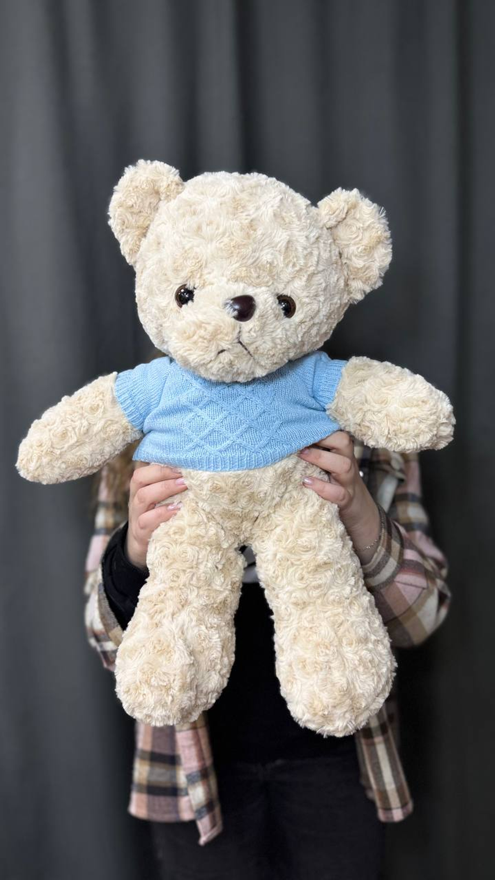 Медведь в синей кофточке