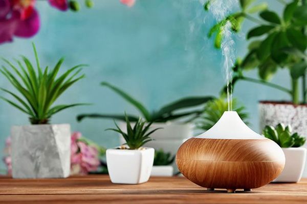 Увлажнители, ионизаторы, озонаторы – лучшие модели 2019