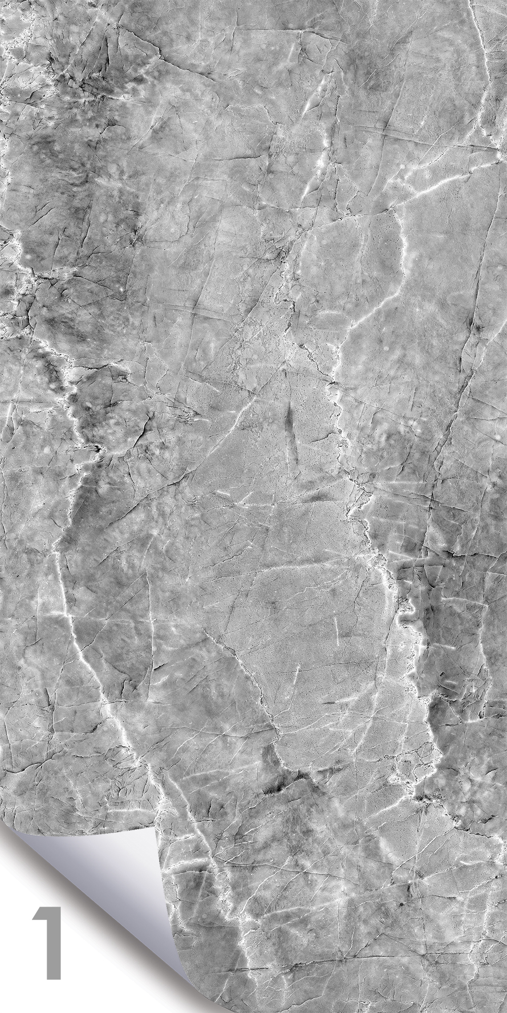 Шерл Сильвер