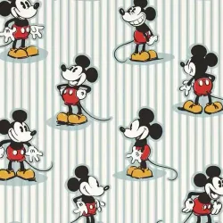 Disney Home