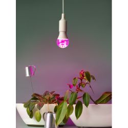 Фитолампа для растений светодиодная ЭРА FITO-20W-RB-E27 красно-синего спектра 20 Вт Е27 | Фитолампы Е27