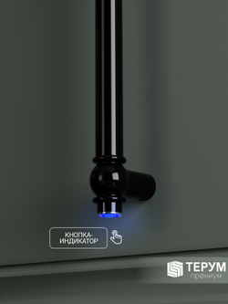 Полотенцесушитель Винтаж 1 120х4 Черный лак