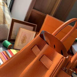 Hermes Birkin 25
