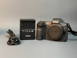 Canon EOS R 74.000 Кадров