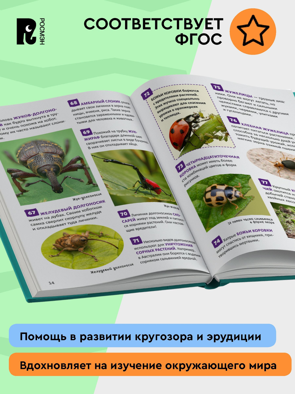 Насекомые. Энциклопедия российского школьника