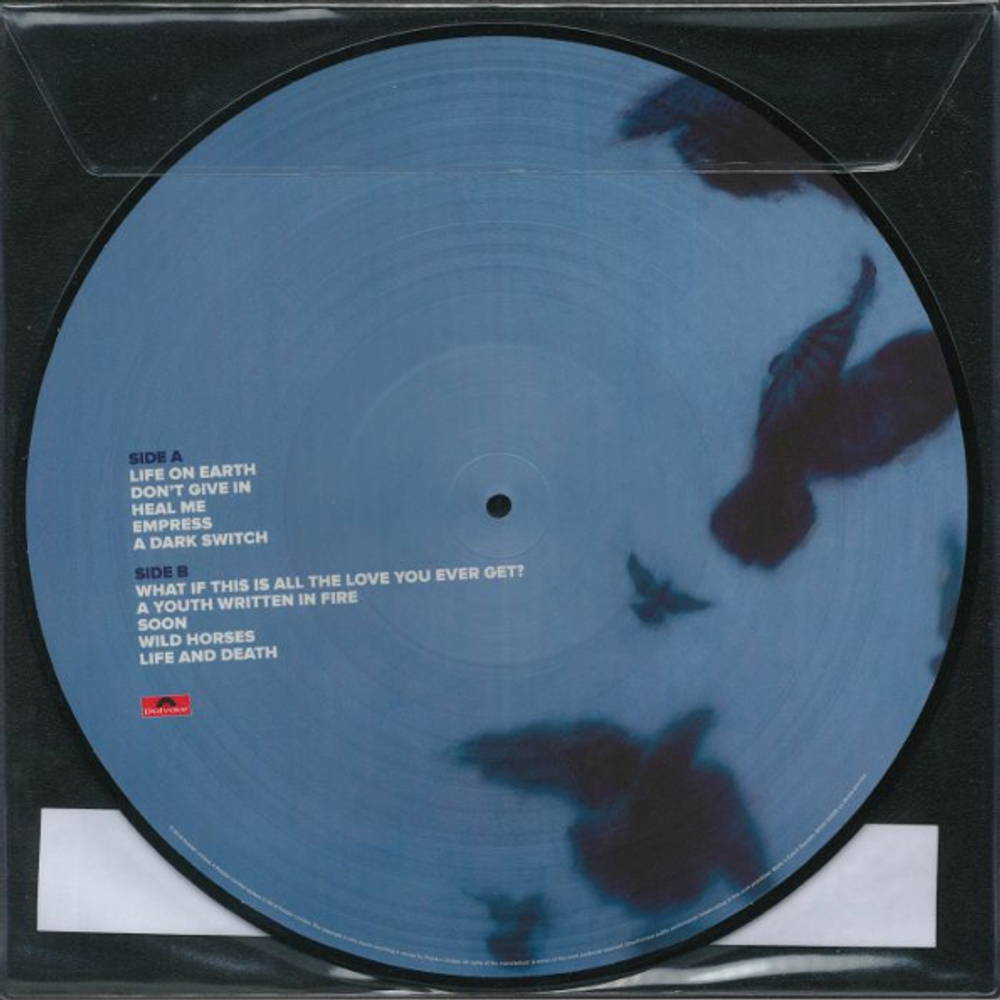 Snow Patrol / Wildness (Picture Disc)(LP)