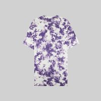  Футболка мужская Dickies Sunburg артикул:DK0A4X9PB651 - купить в магазине Дайс