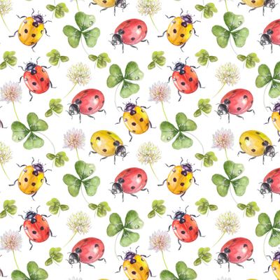 Божьи коровки и клевер