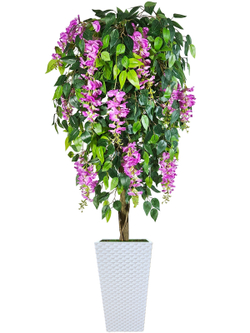 Искусственное дерево Глициния лиловая 150см в белом кашпо ротанг