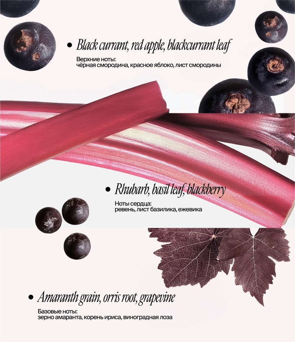 Гель для душа с пребиотиками и комбучей 400 ml (Smorodina)