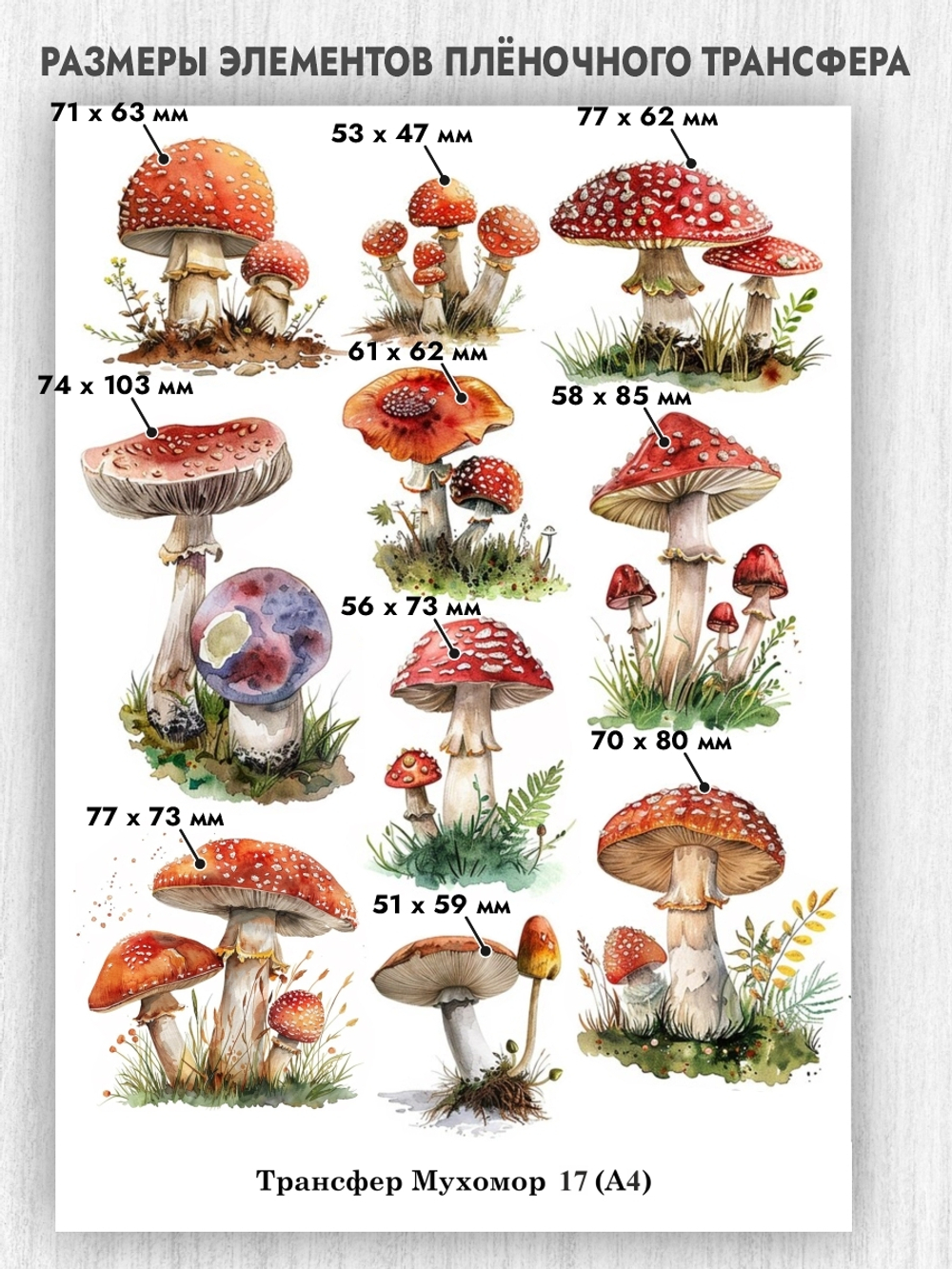 Трансфер для декупажа переводной рисунок для поверхностей мухомор 017