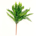 Папоротник нефролепис GGP 48 см