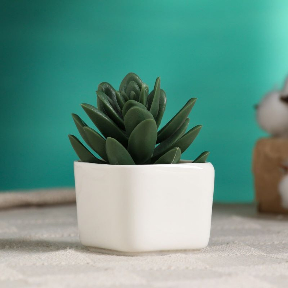 Грошок Эко 5х4 см (2)