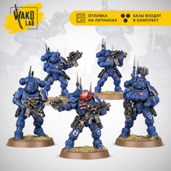 (2 in 1) Primaris Infiltrators / Incursors (5)