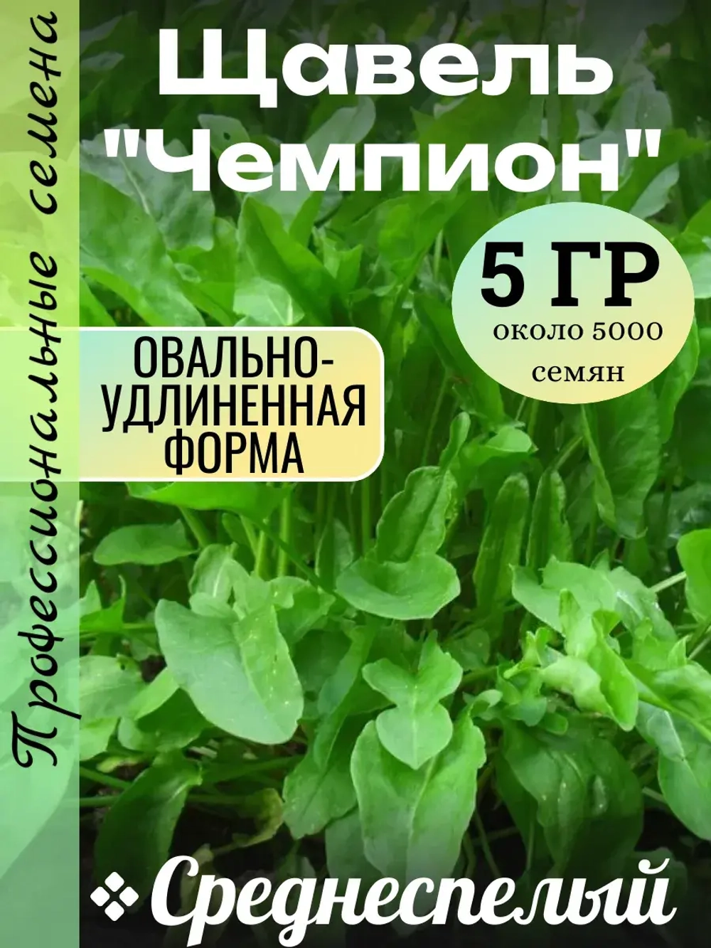 Семена Щавель чемпион 5 (гр)