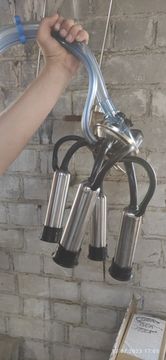 Коллектор доильного аппарата