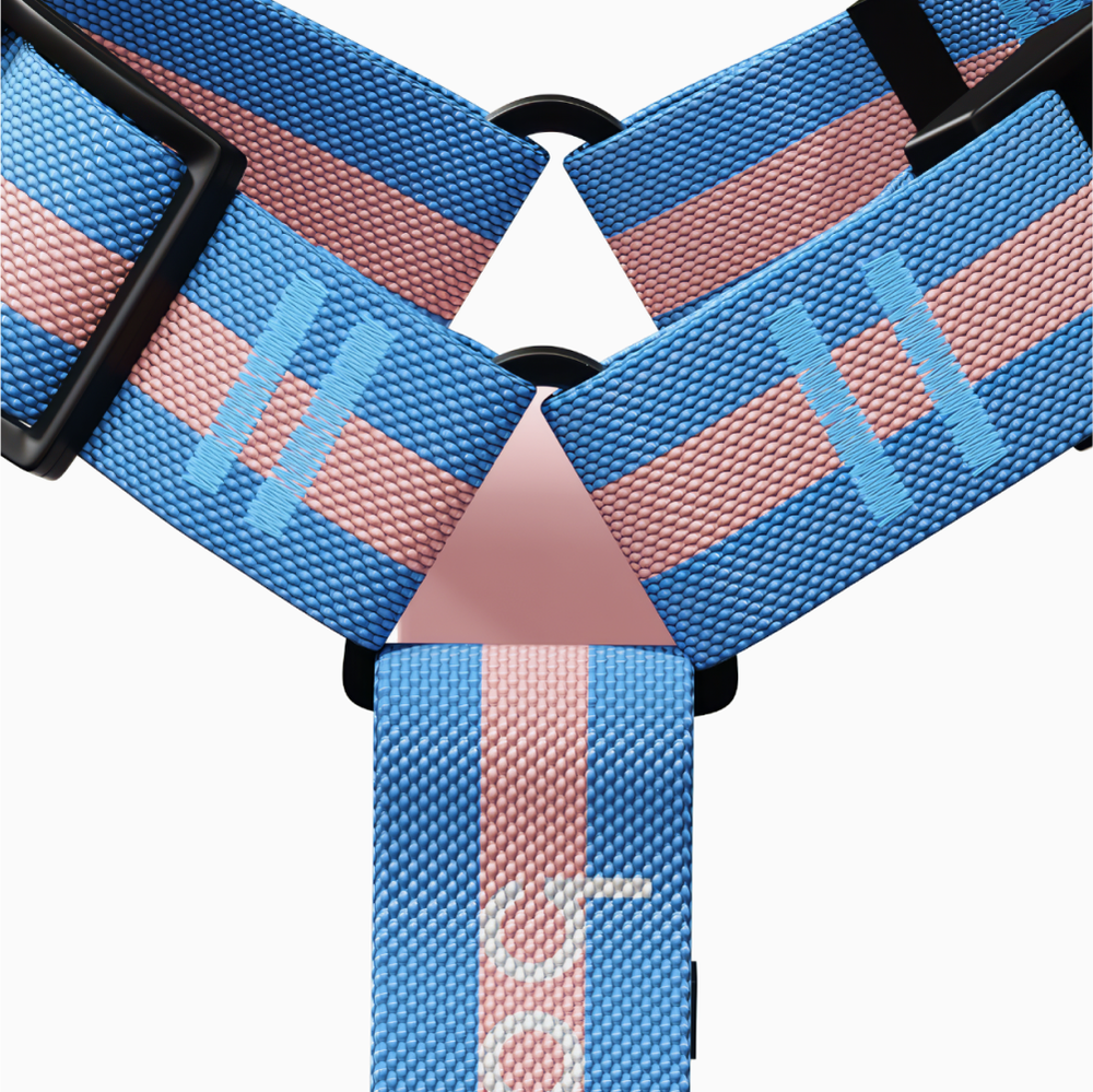 Шлейка Stripes