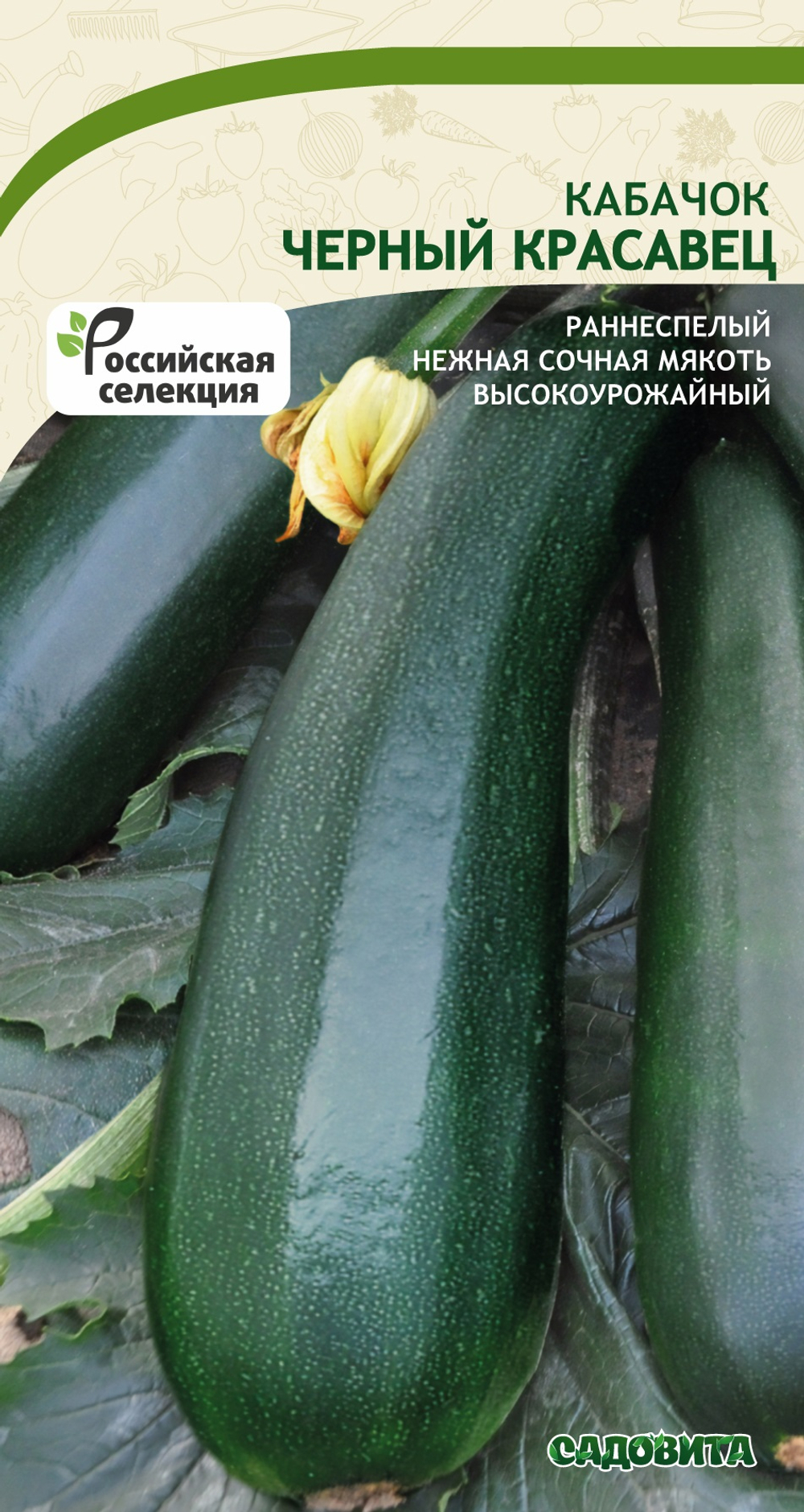 Кабачок Черный красавец 10шт Садовита