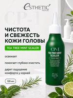 [ESTHETIC HOUSE] Средство для очищения кожи головы CP-1 Tea Tree Mint Scaler, 120мл