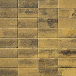 Тротуарная плитка ПРЯМОУГОЛЬНИК 200x100 мм - Листопад гладкий Янтарь