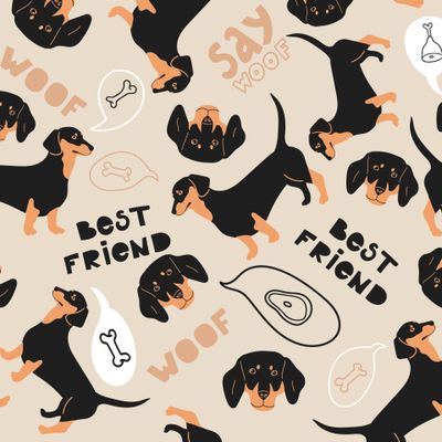 Собаки. Таксы на бежевом фоне