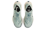 Кроссовки Nike Pegasus Trail 3 Gtx (Женская размерная сетка)