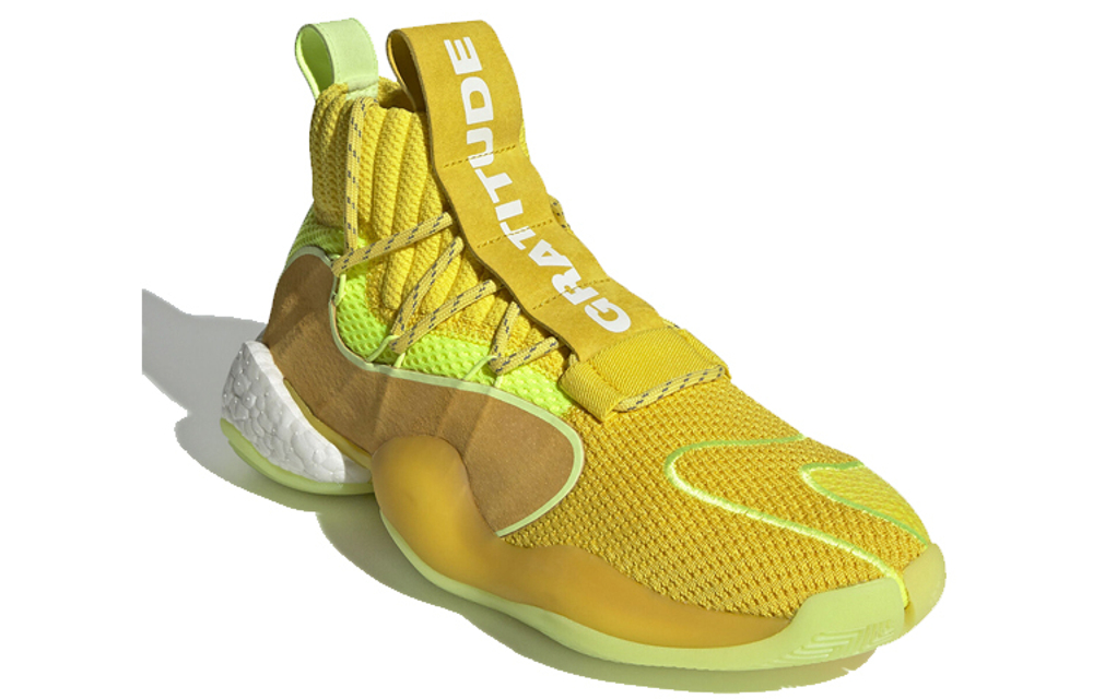 Кроссовки Pharrell X Adidas Originals Crazy Byw X