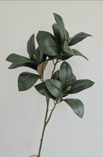 Магнолия / Арт 3068