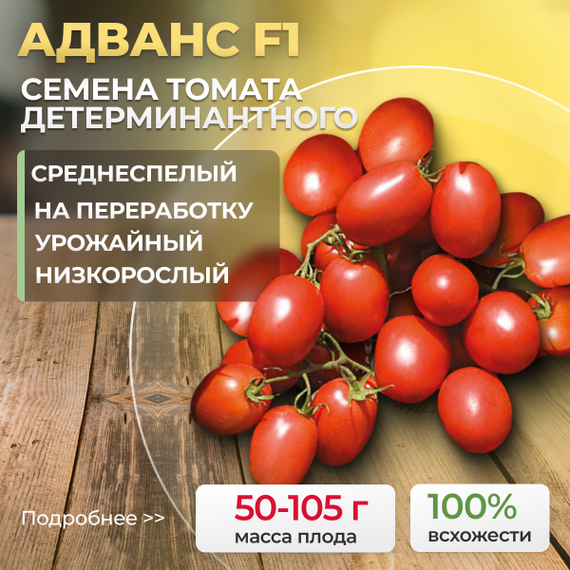 АДВАНС_F1_семена_томата_Nunhems_оптом_купить