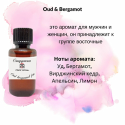 Prof-Royal отдушка парфюмерная OUD BERGAMOT JM для свечей, мыла и диффузоров, 50 мл