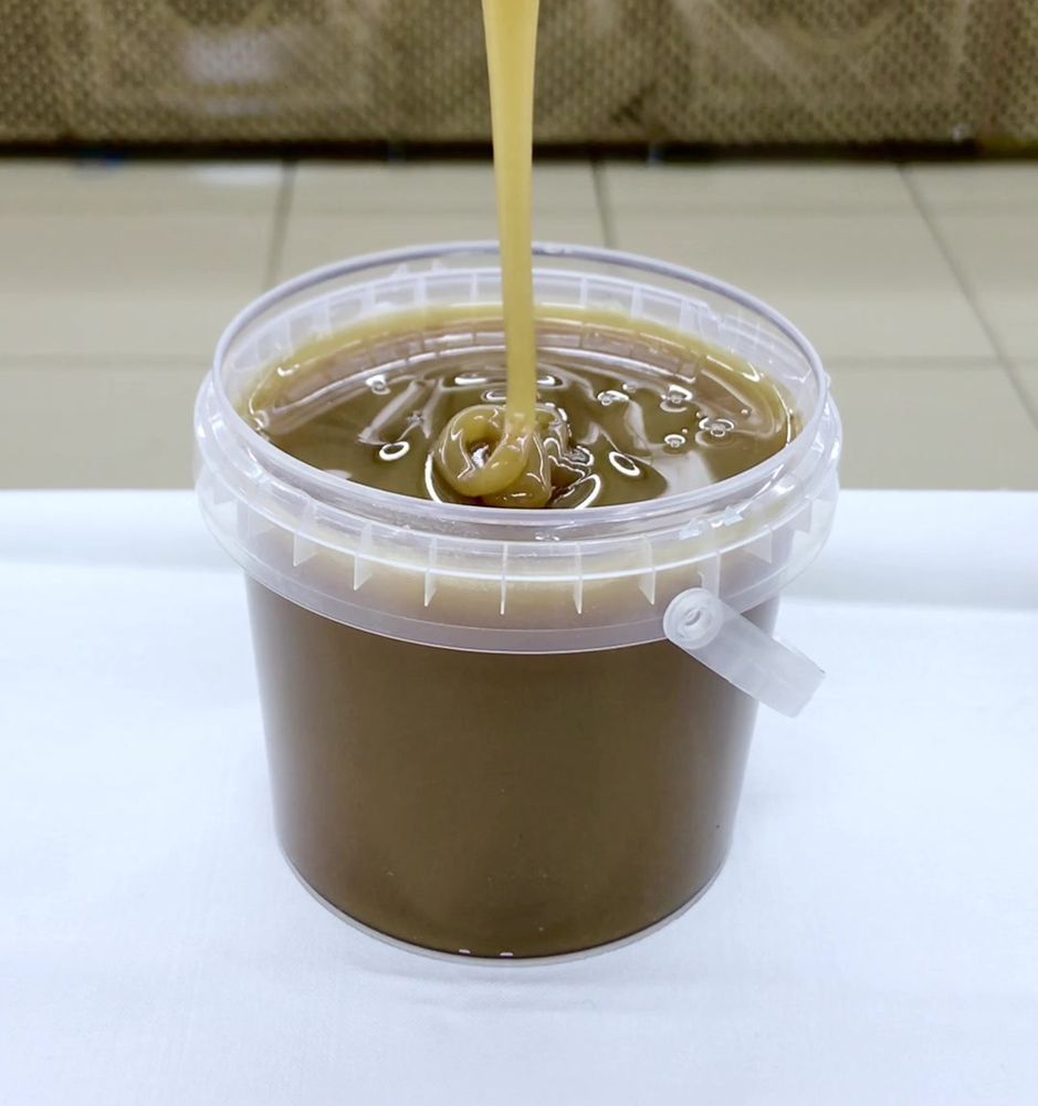 Гречишный мёд (3 литра) Алтайский кр