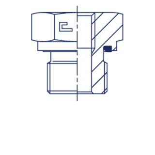 Соединение PFE BSP 1 BSP 1.1/4