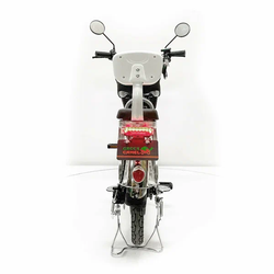 Электровелосипед GreenCamel Транк 18 V8 (R18 250W 60v10Ah) алюминий, DD, гидравлика