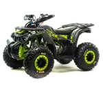 Квадроцикл MotoLand VOX125 WILD X