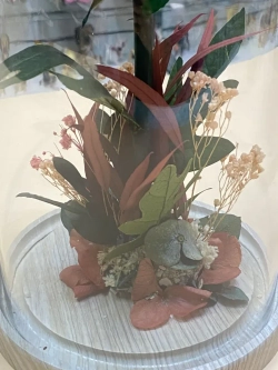 Пион на стебле в кобе