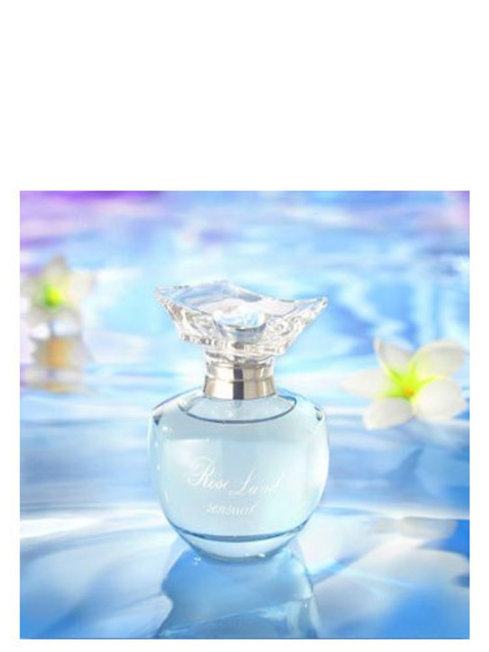 Yves de Sistelle Roseland Sensual