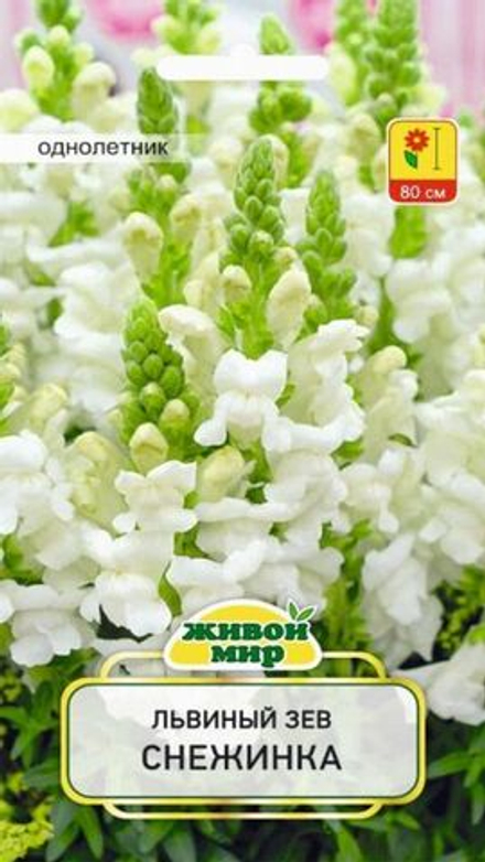 Львиный зeв "ЖМ. Снeжинкa" 0,2г., Польша.