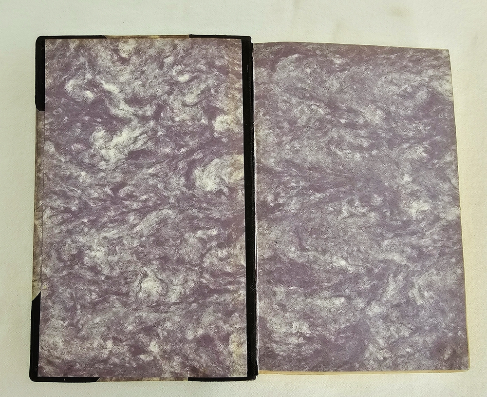 "Забытое прошлое окрестностей Петербурга с 104 гравюрами". М.И. Пыляев. 1889 г. - редкая книга